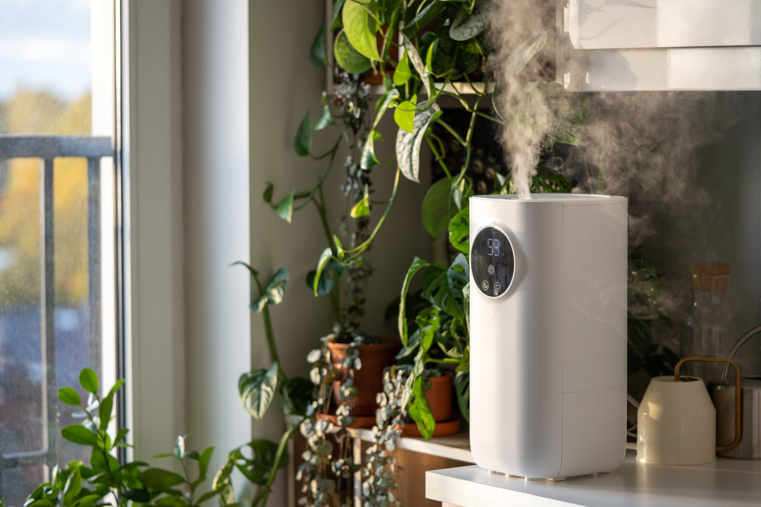 A humidifier and a plant sit in a room to improve its indoor air quality.
